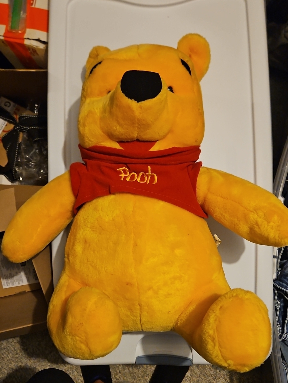 Mattel Winnie The Pooh 20 In. with Red Shirt